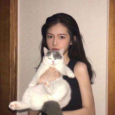 最强王者华为客户端下载